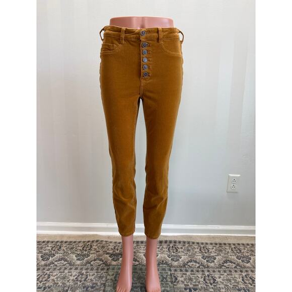 Anthropologie Denim - ANTHROPOLOGIE PILCRO Women’s Skinny Corduroy Button Fly Ankle Jeans Sz 29
